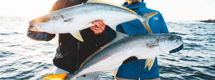 Best Budget Fishing Reel for NZ King Fish - ReelsDeal Fishing Sale NZ