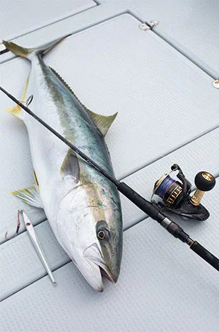 23 Daiwa BG SW 4000D-CXH Spinning Reel - ReelsDeal Fishing Sale NZ